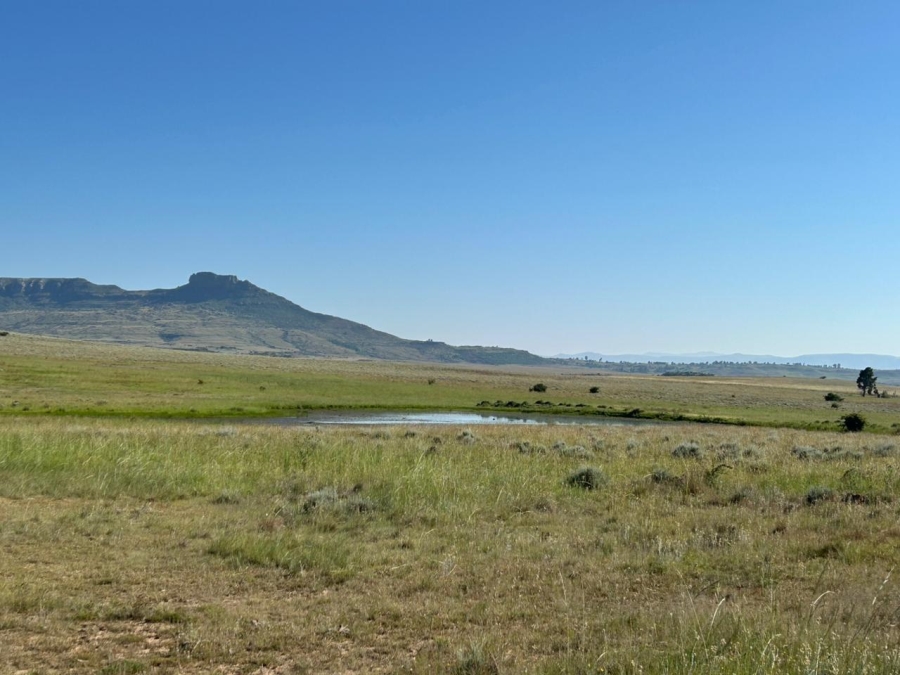 Commercial Property for Sale in Zastron Rural Free State